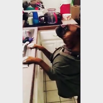 Insolite : des chiens qui font le Mannequin Challenge