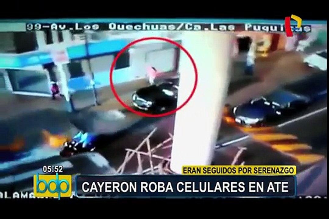 Ate Vitarte: capturan a delincuentes que robaron a mujer