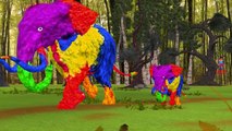 Colors Dinosaurs Gorilla Finger Family | Colors Gorilla Vs Elephant Finger Family Nursery Rhymes