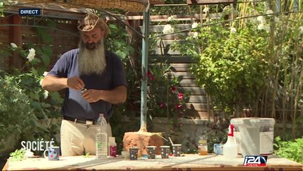 Jardinage : les hormones de croissance