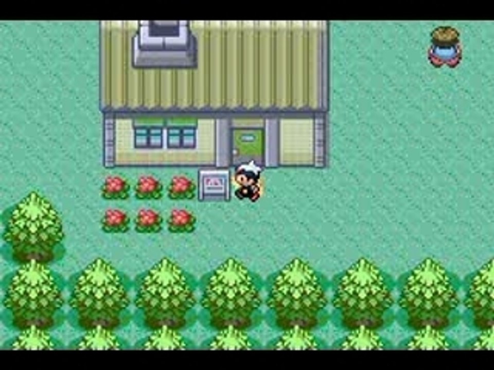 Pokemon HARSH Version part 4/5