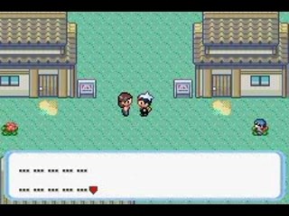 Pokemon HARSH Version Part 5/5