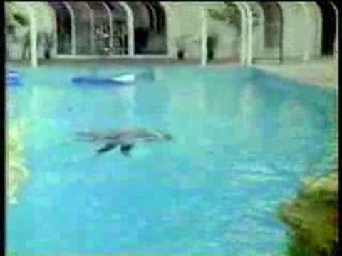 CBS TV Promo Murder, She Wrote 1984