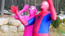 PINK SPIDERGIRL VS T-REX! SPIDERMAN VS DINOSAUR SAVES SPIDER-GIRL IN REAL LIFE - FUN SUPERHERO MOVIE