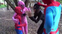 Frozen Elsa vs Spiderman BABY drowning in the pool Pink Spidergirl vs joker Fun Superheroe movie