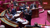 La réaction des sénateurs au TES : les 