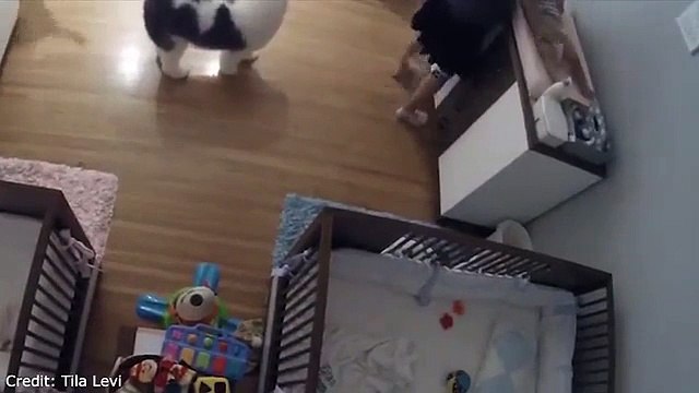 Il n'a que 9 ans et il a sauvé in extremis son petit frère d'une chute !