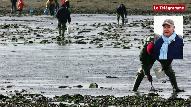 Pêche à pied : les mises en garde d’Yves Teurtroy, médiateur de l’estran à l’Ile-Tudy