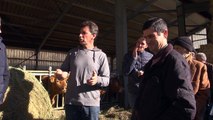 D!CI TV : 40 agriculteurs réunis à Seyne-les-alpes pour la journée régionale bovine