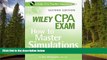 Enjoyed Read Wiley CPA Exam: How to Master Simulations