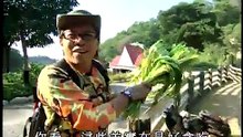 去牧場擠牛奶 【下課花路米 461】 (online-video-cutter.com)