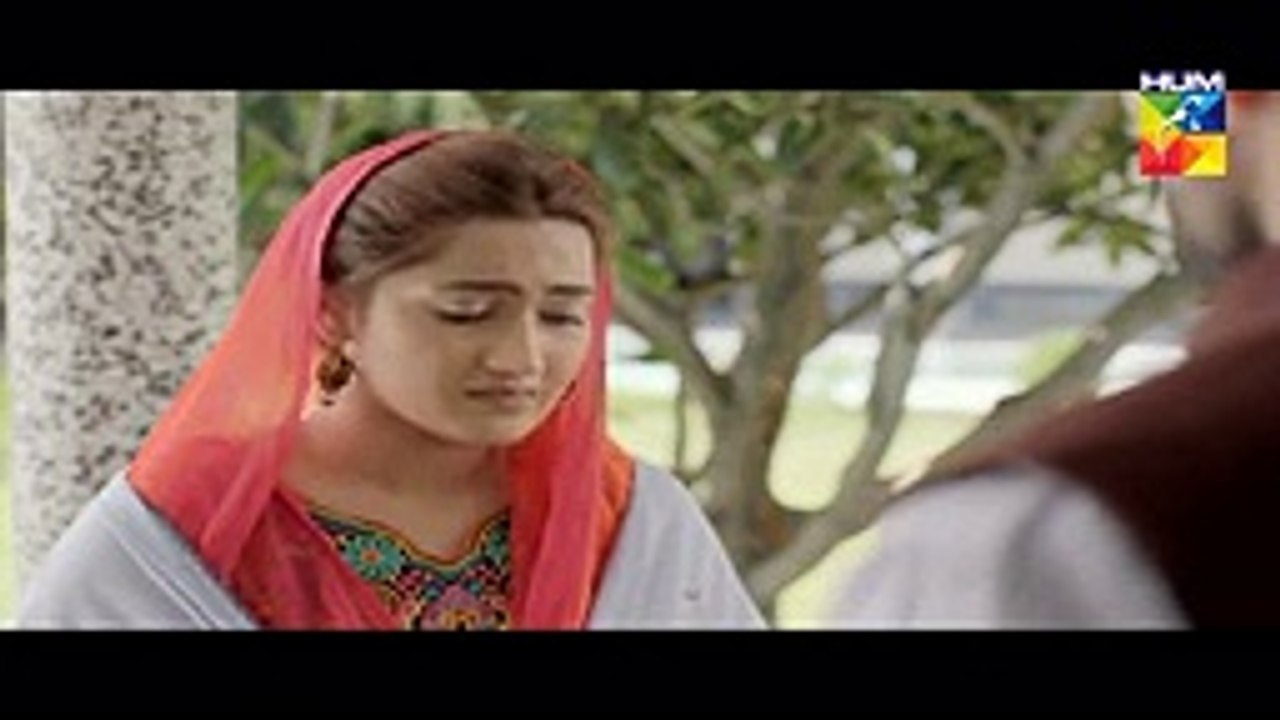 Sange Mar Mar Episode 12 on Hum tv 17th November 2016