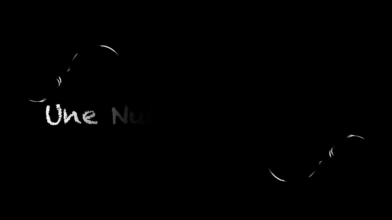 Teaser Final " Une Nuit au Musée "