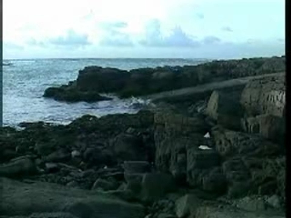 Edouard Nenez et ses princes à Yeu