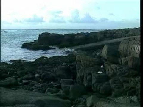 Edouard Nenez et ses princes à Yeu