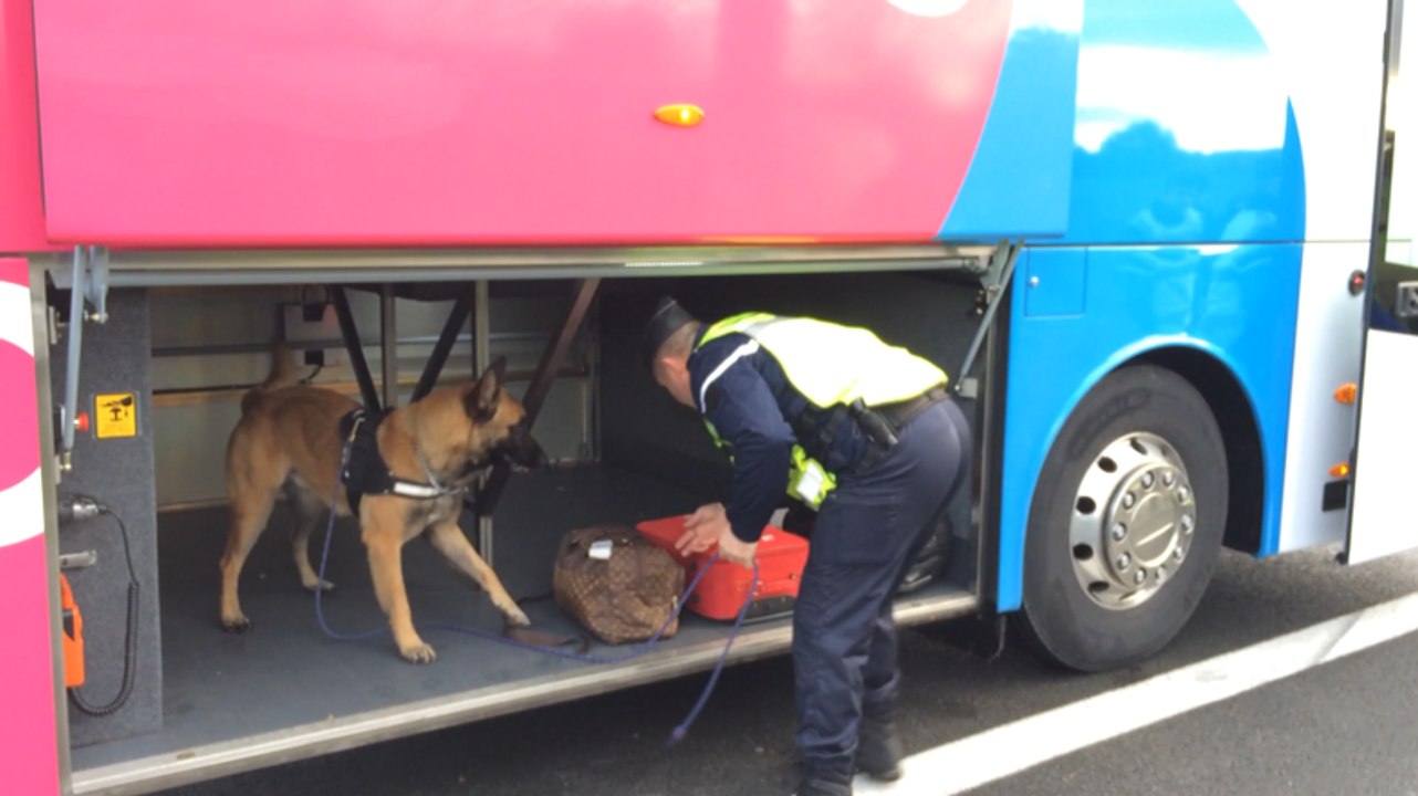 Les gendarmes contrôlent les bus low-cost