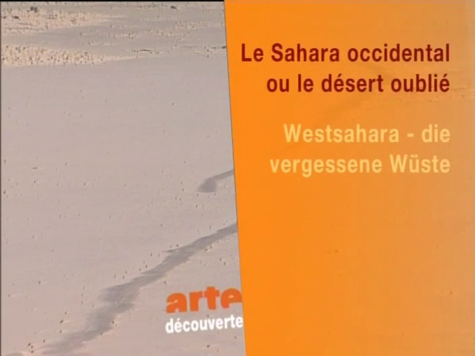 Westsahara - die vergessene wüste