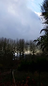 Un drôle d’oiseau dans le ciel de Payns