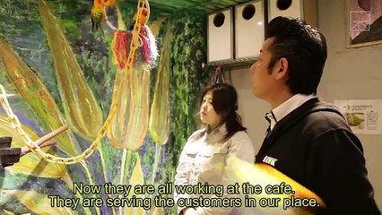 Animal cafes are extremely popular in Japan