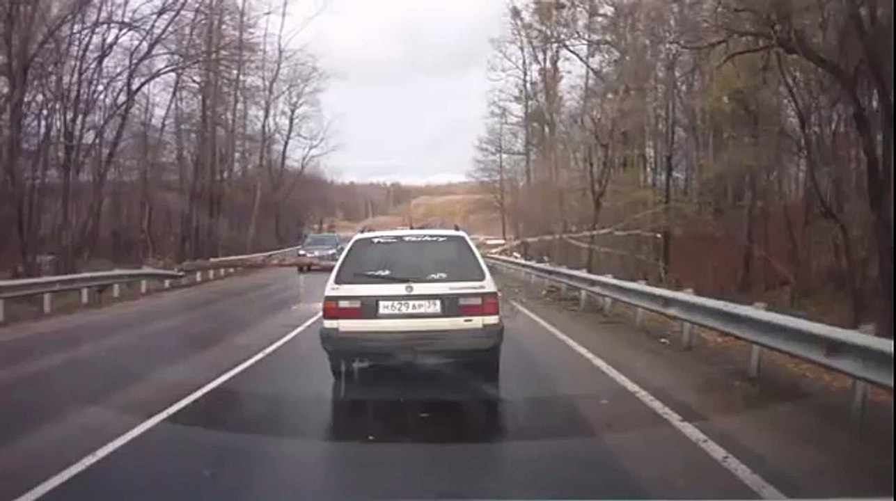 Russian and tree on a road