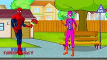 Spiderman Vs Elsa - Spiderman Becomes FAT | Finger Family Compilation and More !
