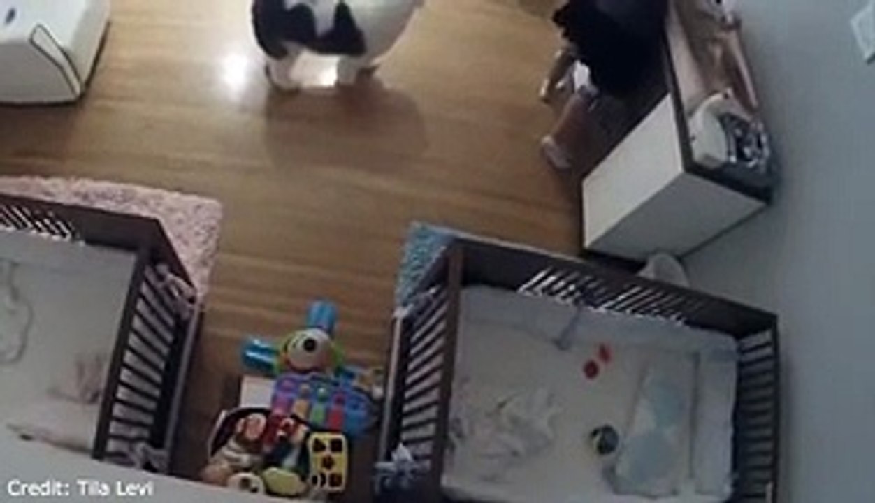 A 9 ans, il sauve in extremis son petit frère qui chute d'un d'une table à manger