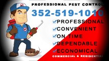 Gainesville FL Pest Control Reviews - 352-519-1010