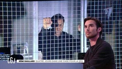 Rémi Gaillard lance un ultimatum à Vincent Bolloré en direct du Grand Journal