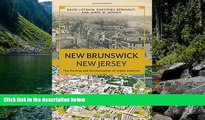 Buy David Listokin New Brunswick, New Jersey: The Decline and Revitalization of Urban America