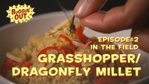 Buggin'Out - Episode 2 - In the Field - Grasshopper & Dragonfly Entomophagy (Featuring Dave Gracer)