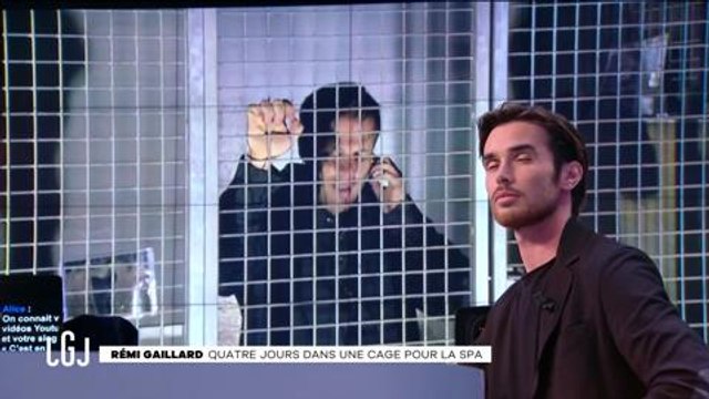 En cage depuis 3 jours pour soutenir la SPA, Rémi Gaillard demande l'aide de Vincent Bolloré ! (Vidéo)