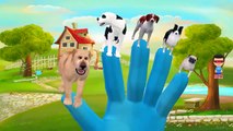 Dog Cartoon Finger Family Nursery Rhymes | Finger Family Nursery Rhymes For Children