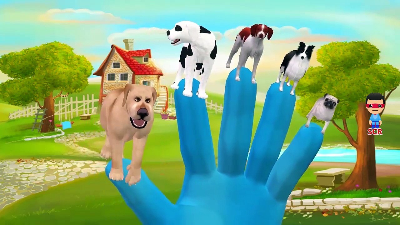 Dog Cartoon Finger Family Nursery Rhymes | Finger Family Nursery Rhymes For Children