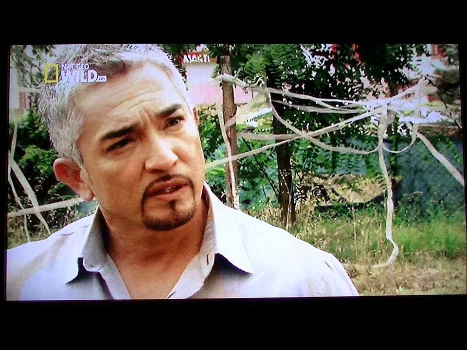 César Millan en Espagne Lévrier