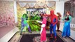 Spiderman Frozen Elsa Baby Masha vs Joker Harley Quinn Steal w/ Superman Anna Superhero in real life