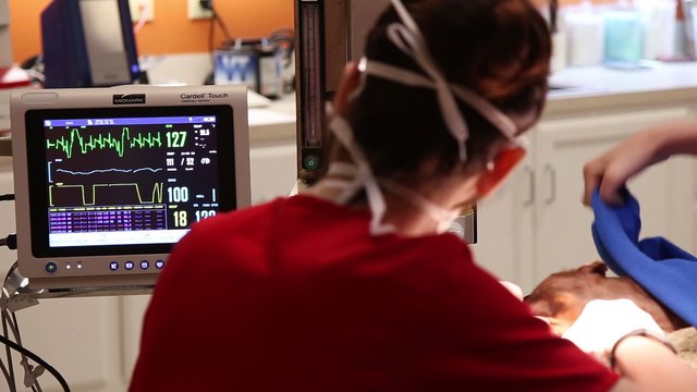 Welcome to Mayer Veterinary Hospital