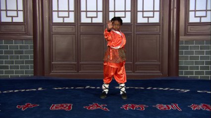 Kung Fu Panda 1 - Tiger Style