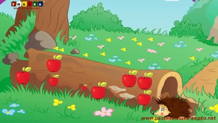 Ежик Жека Развивающий мультик для детей, учимся считать легко и с удовольствием!!!