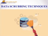 Data Scrubbing Techniques