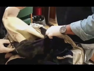 Roma - La Rustica, 3,5 chili di cocaina nell'imbottitura dei giacconi (17.11.16)