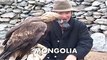 hunting wolves with a golden eagle in Mongolia. Kazajstán-Ky