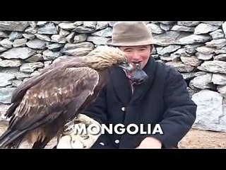 hunting wolves with a golden eagle in Mongolia. Kazajstán-Ky