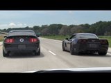 Cobra vs Cobra vs Cobra vs GT500 vs Z06 STREET RACING