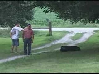 Acetylene Bombs - 4th of July