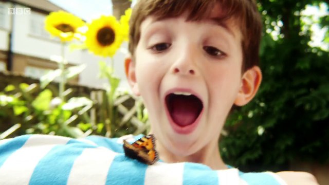 Topsy and Tim . s02e24 . Visiting School . children story cartoon cBeebies