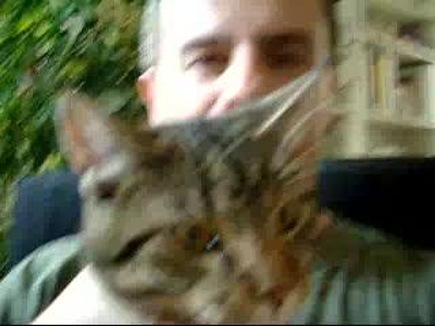 Bon Anniversaire Laura Video Dailymotion