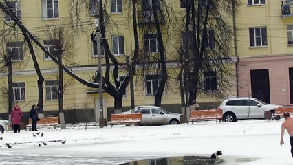 Dog Rescued from Icy Waters