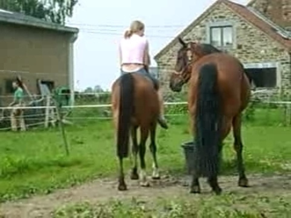 GEVES LE 03-06-07
