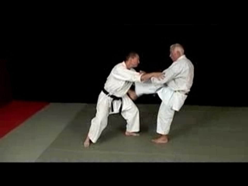 DVD Karate Shotokan Lavorato vol.2