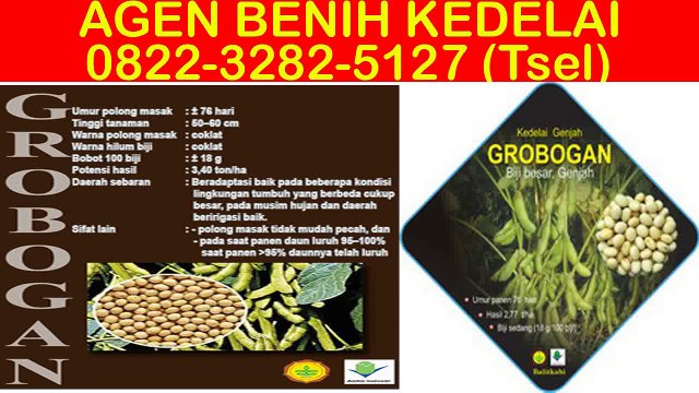 0822-3282-5127 (Tsel), Distributor Bibit Kedelai